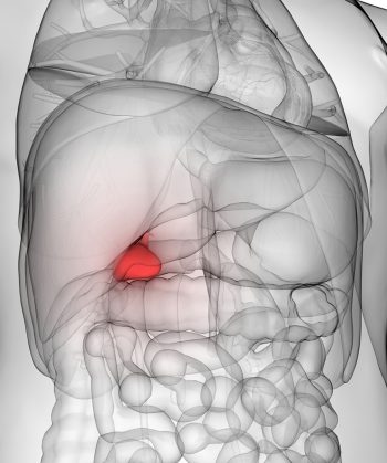 How To Know If It Is Gallbladder Pain